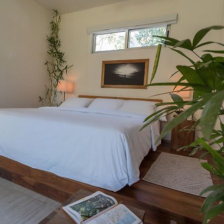 Moana Surf Resort Nosara Extérieur photo